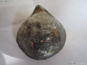 古玉小拍場 方寸天地間的寶藏之旅